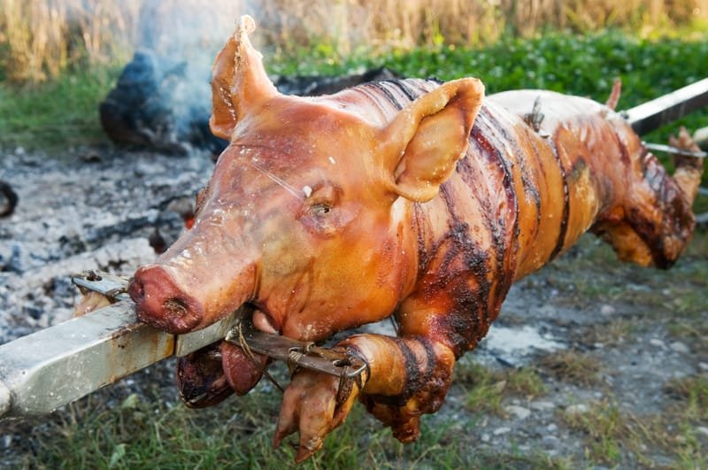 Spanferkel am Spieß